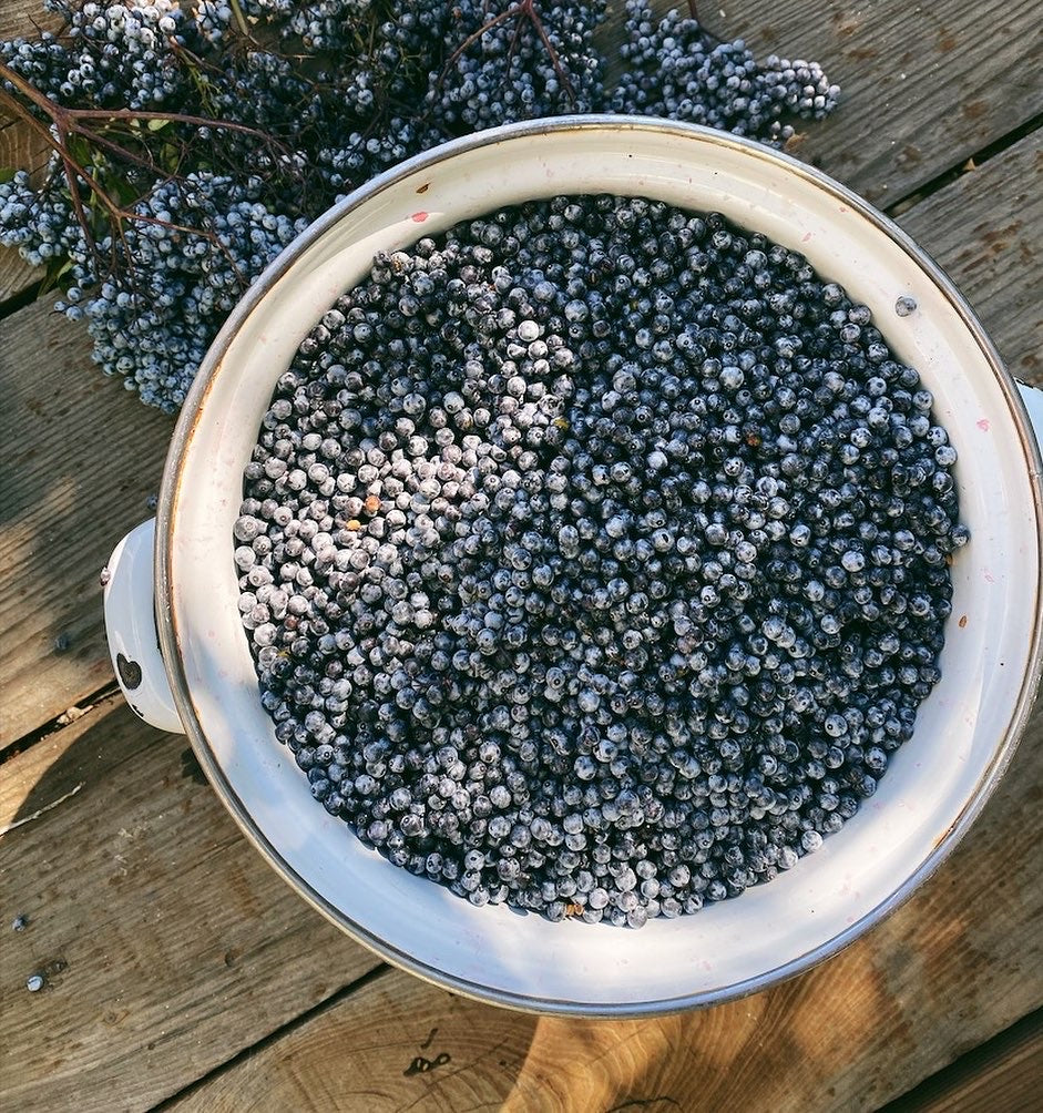 Connecting with the Season: Fall & Elderberry Syrup