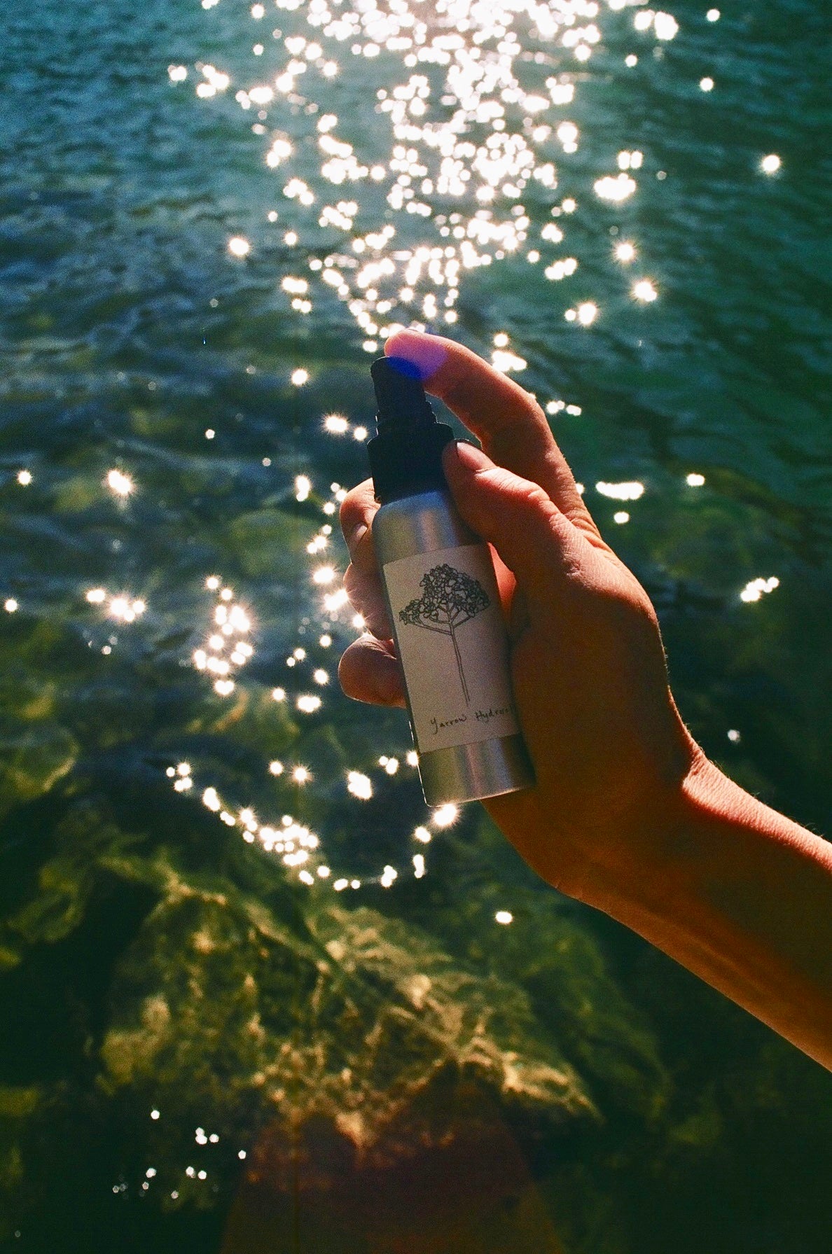 Introducing Our New Hydrosol Line