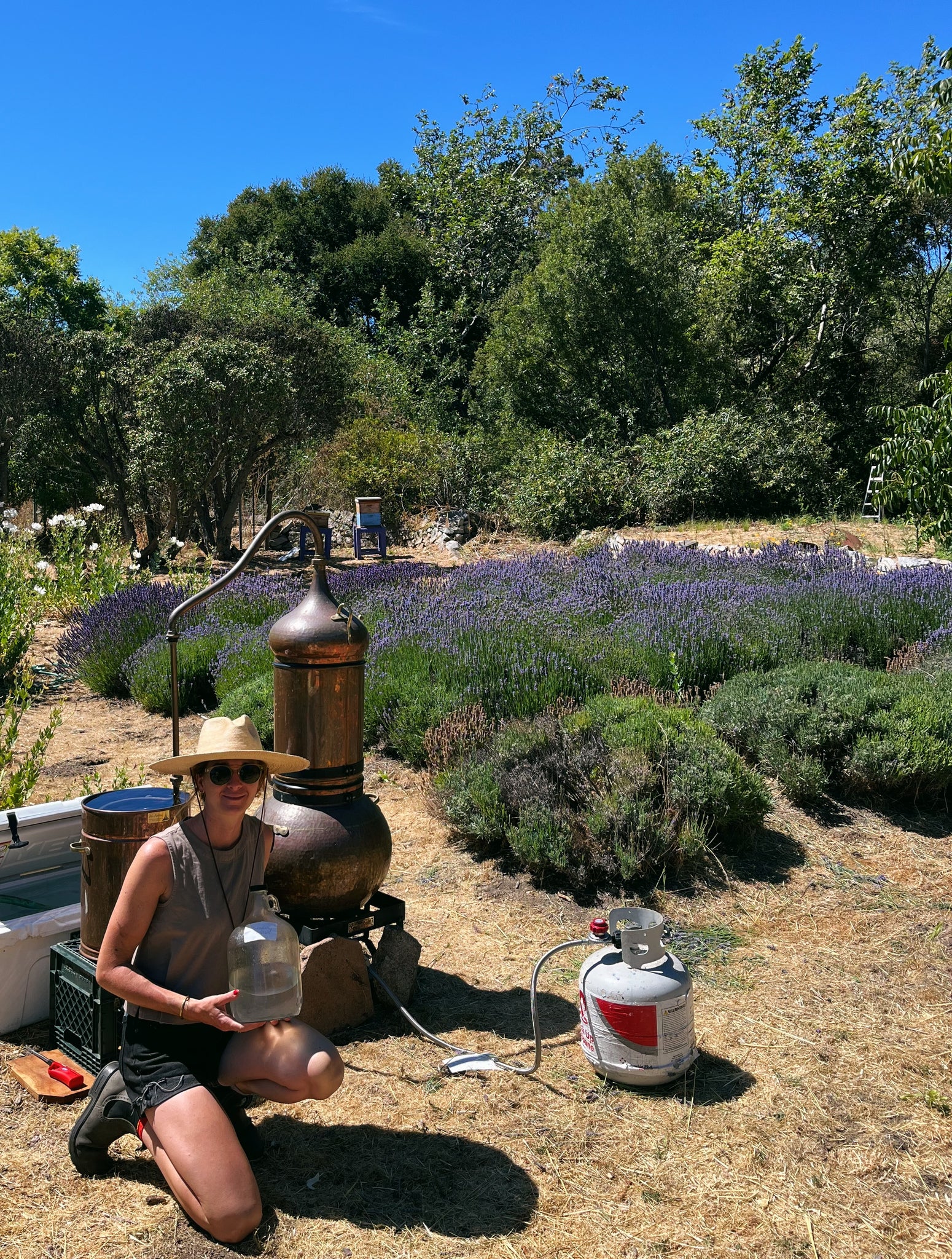 Lavender Distillation Workshop