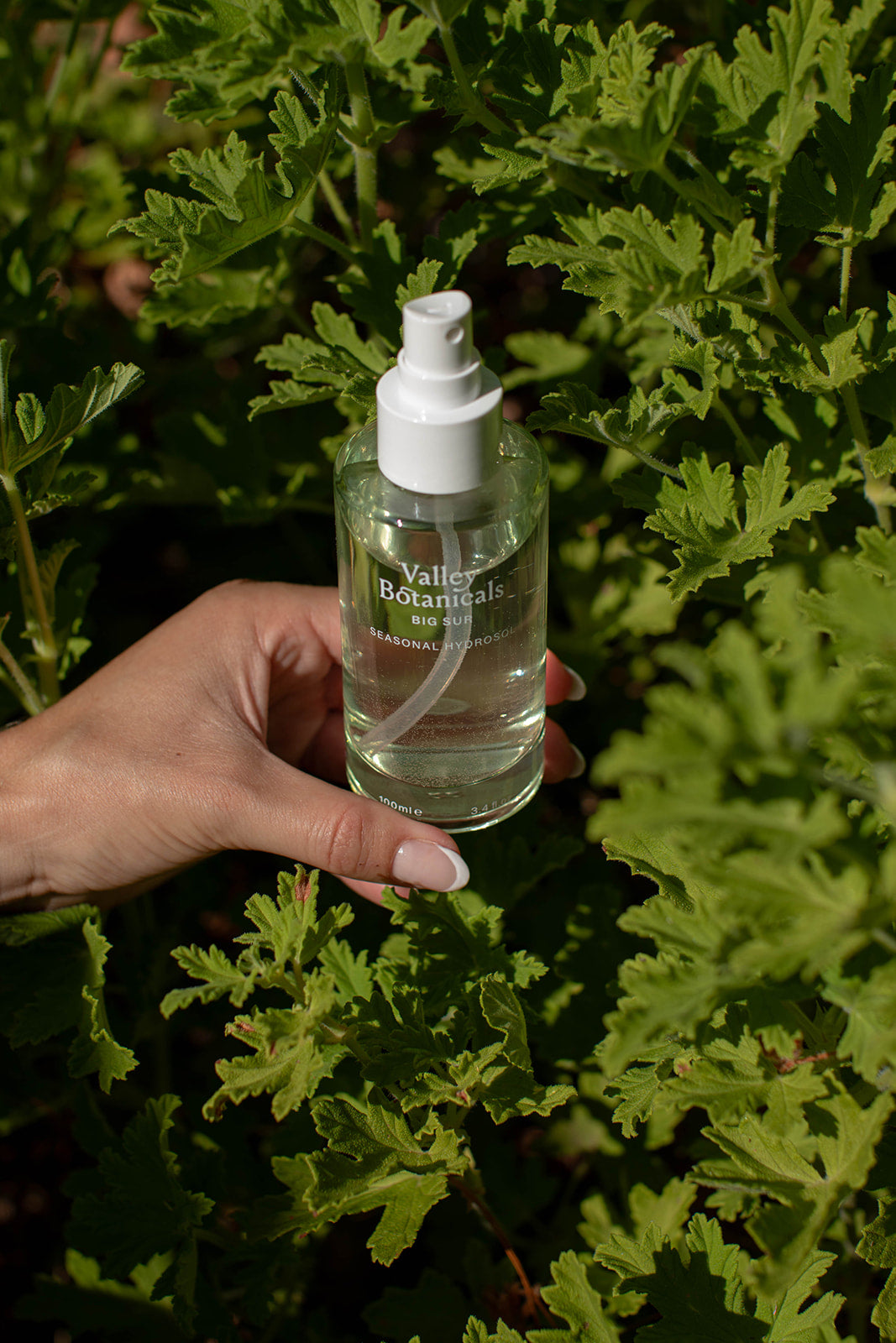 Seasonal Hydrosol Spray