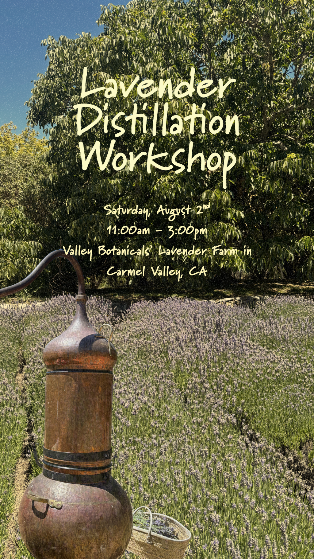 Lavender Distillation Workshop