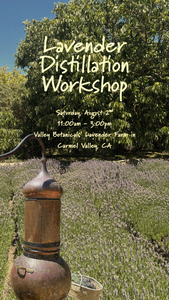 Lavender Distillation Workshop
