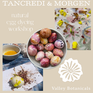 Natural Egg Dyeing Workshop